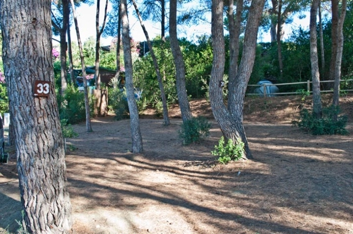 zobacz camping - zdjęcie 44