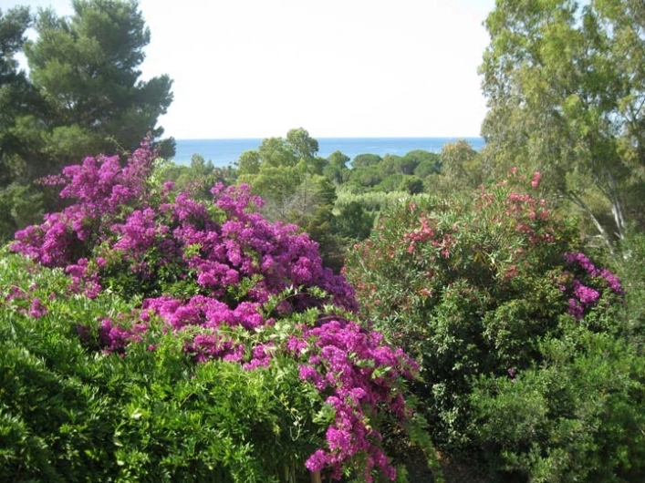 zobacz camping - zdjęcie 29