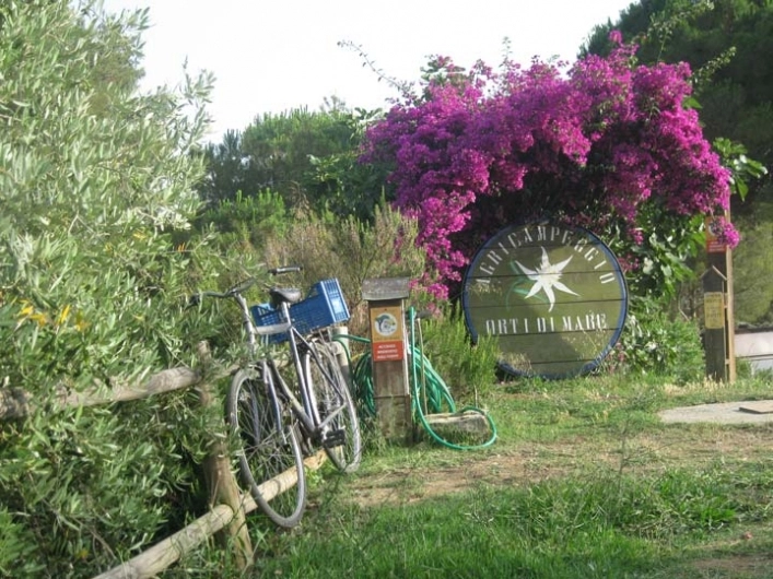 zobacz camping - zdjęcie 27