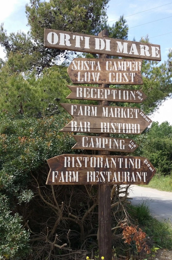 zobacz camping - zdjęcie 24