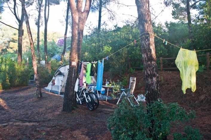 zobacz camping - zdjęcie 10