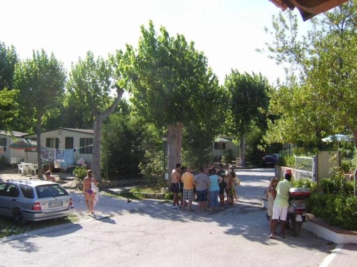 zobacz camping - zdjęcie 29