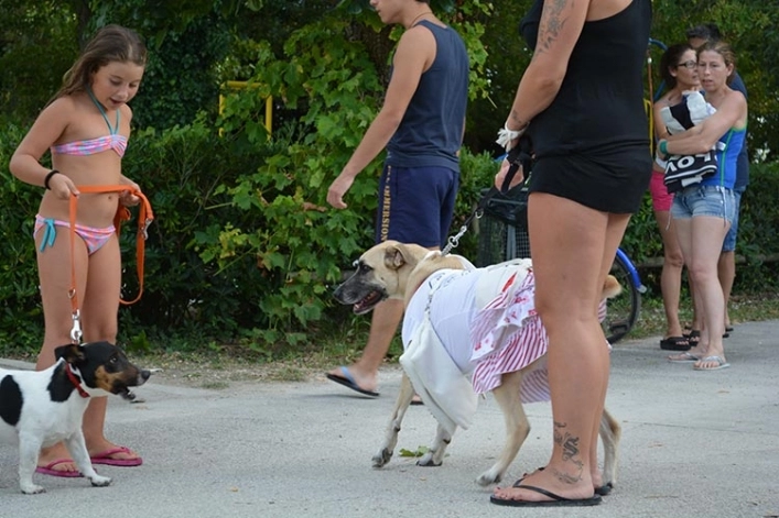 zobacz camping - zdjęcie 25