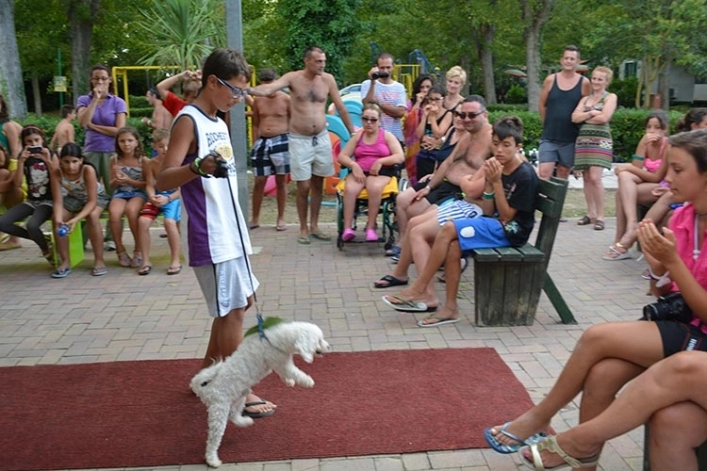 zobacz camping - zdjęcie 20