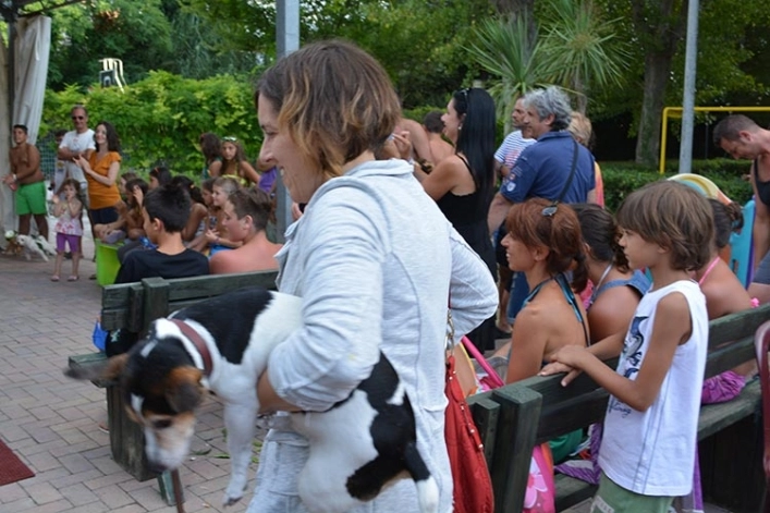 zobacz camping - zdjęcie 19