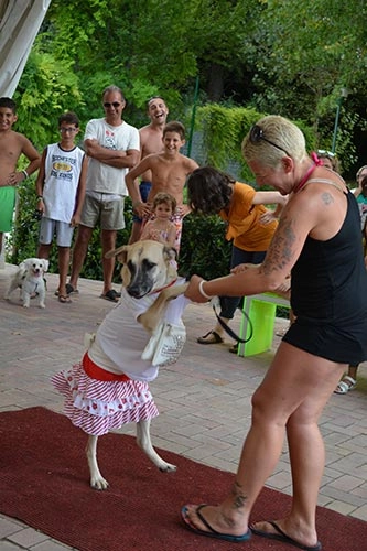 zobacz camping - zdjęcie 15