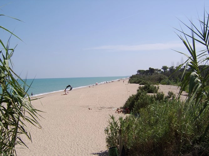 zobacz camping - zdjęcie 10