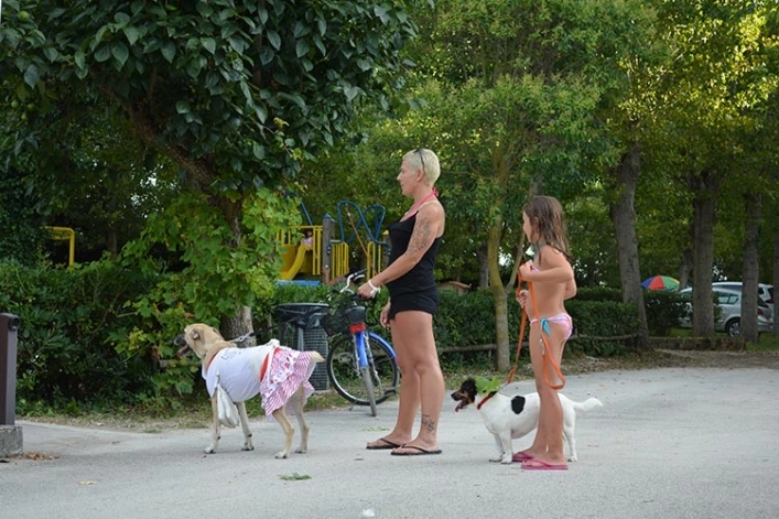 zobacz camping - zdjęcie 7