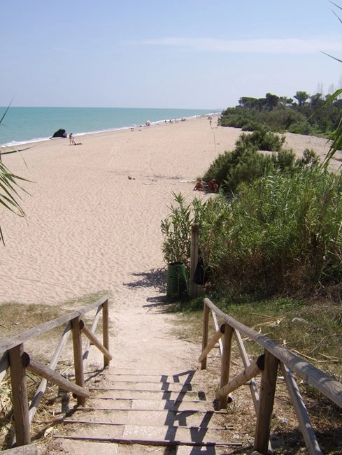 Camping Paradise - zdjęcie 3