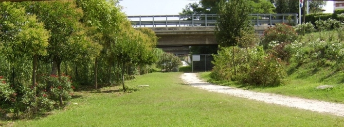 Camping Paradise - zdjęcie 1