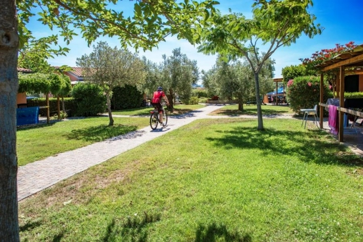 zobacz camping - zdjęcie 34