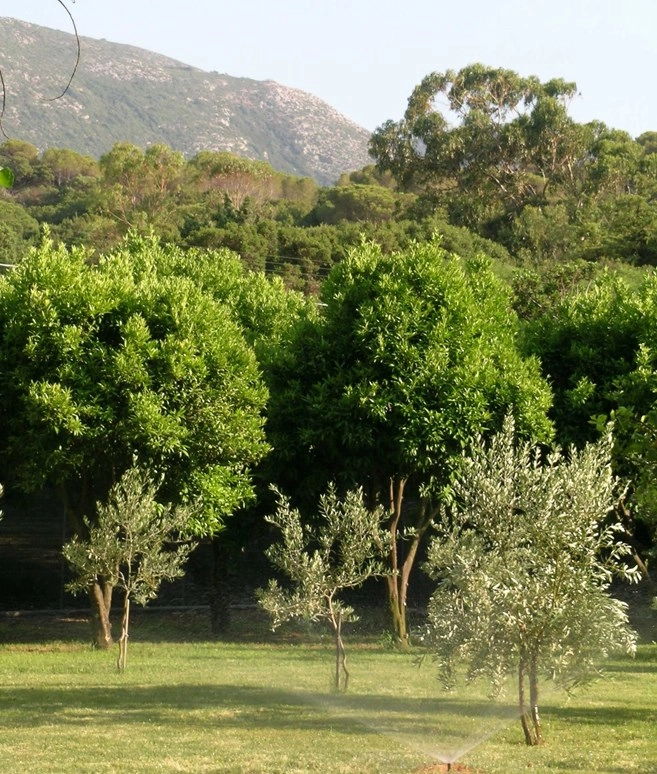 zobacz camping - zdjęcie 9