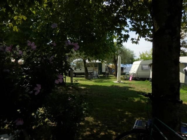 zobacz camping - zdjęcie 6