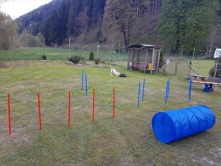 zobacz camping - zdjęcie 19