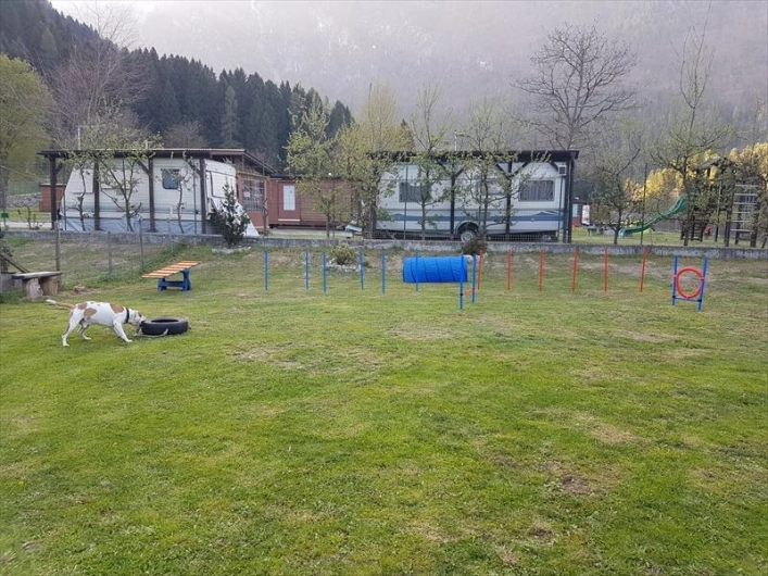 zobacz camping - zdjęcie 10