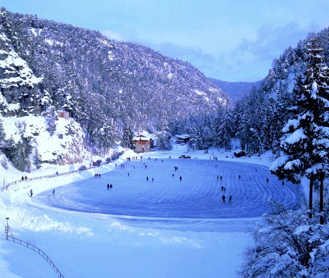 zobacz camping - zdjęcie 26