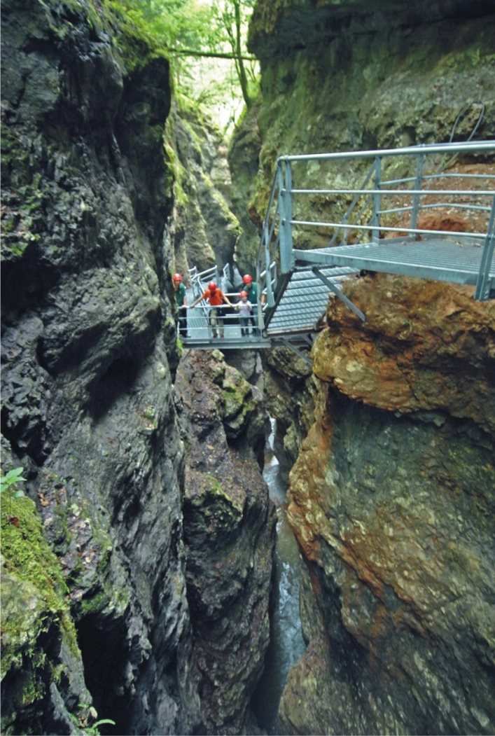 zobacz camping - zdjęcie 19