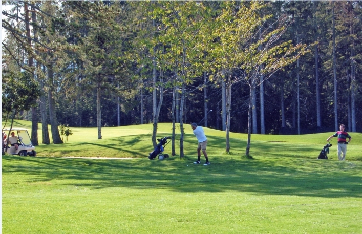 zobacz camping - zdjęcie 6