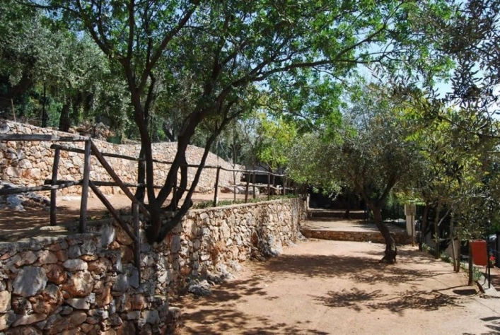 zobacz camping - zdjęcie 9