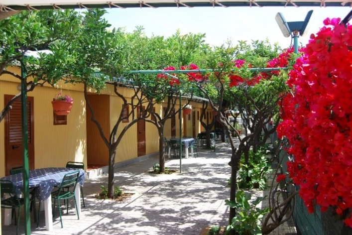 zobacz camping - zdjęcie 6