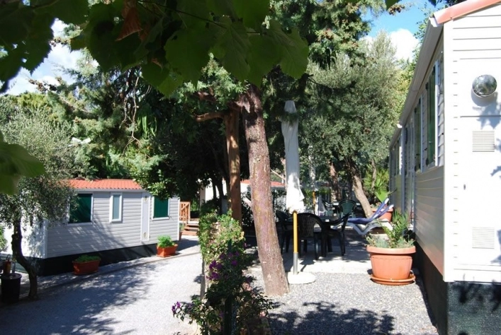 zobacz camping - zdjęcie 2