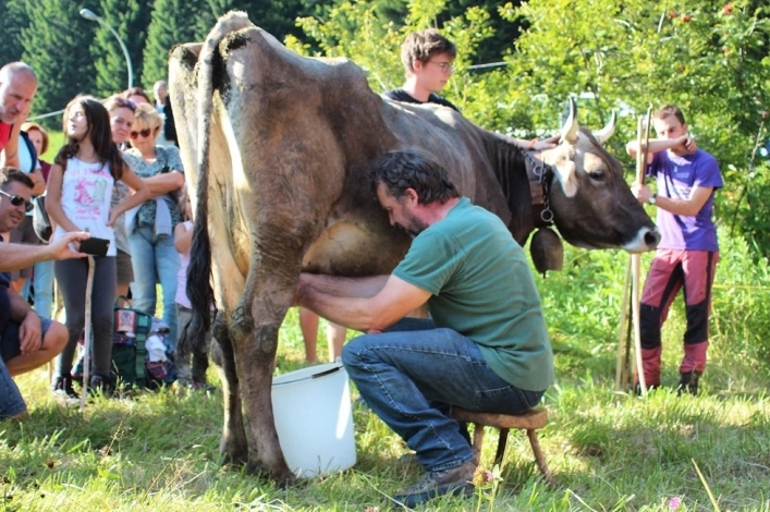 zobacz camping - zdjęcie 46