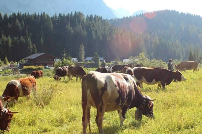 zobacz camping - zdjęcie 36