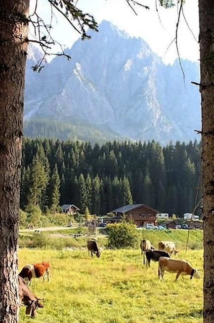 zobacz camping - zdjęcie 12