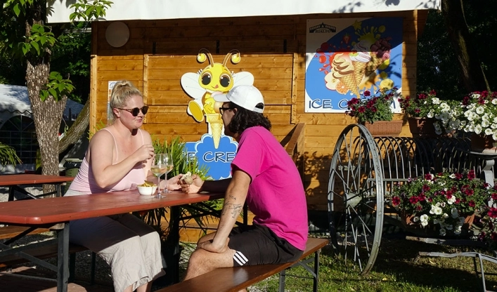 zobacz camping - zdjęcie 26