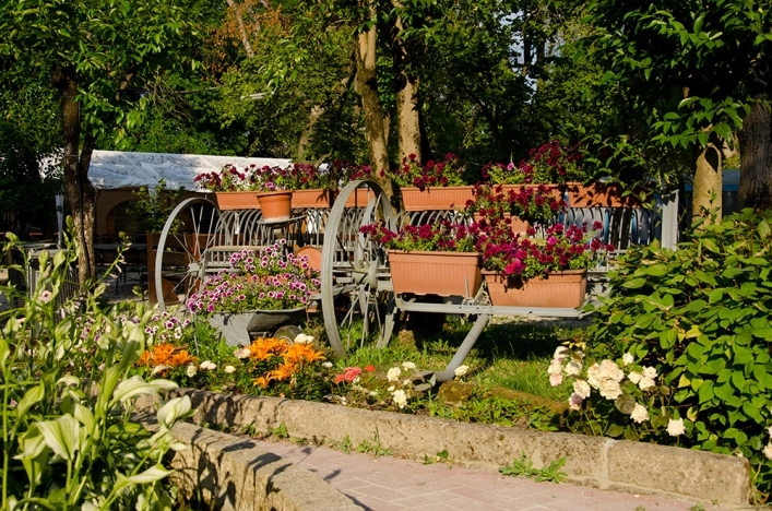 zobacz camping - zdjęcie 10