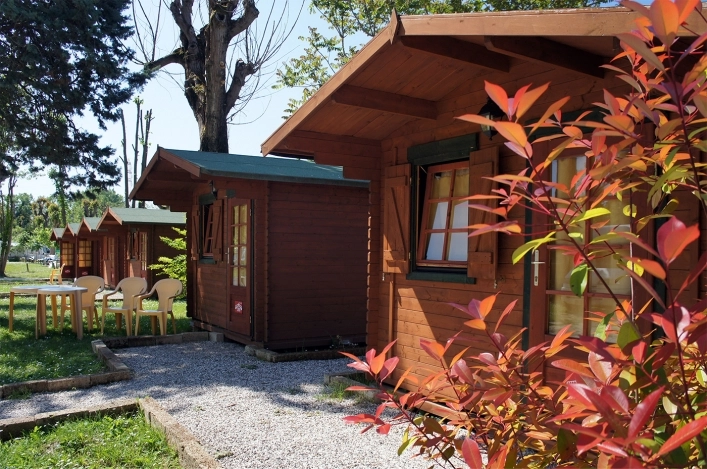 zobacz camping - zdjęcie 7