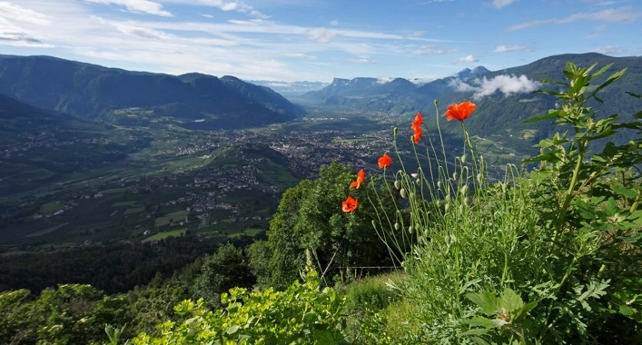 zobacz camping - zdjęcie 31