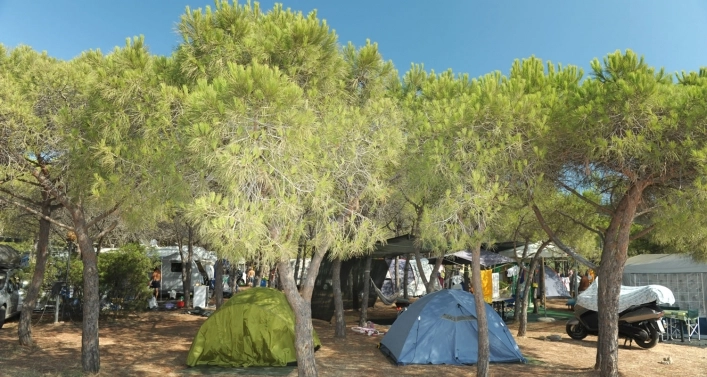 zobacz camping - zdjęcie 22