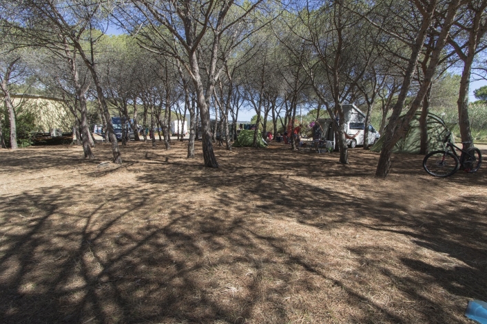 Camping Pedra - Cupa