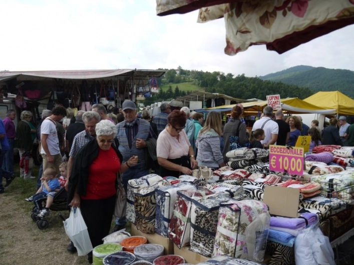 zobacz camping - zdjęcie 13