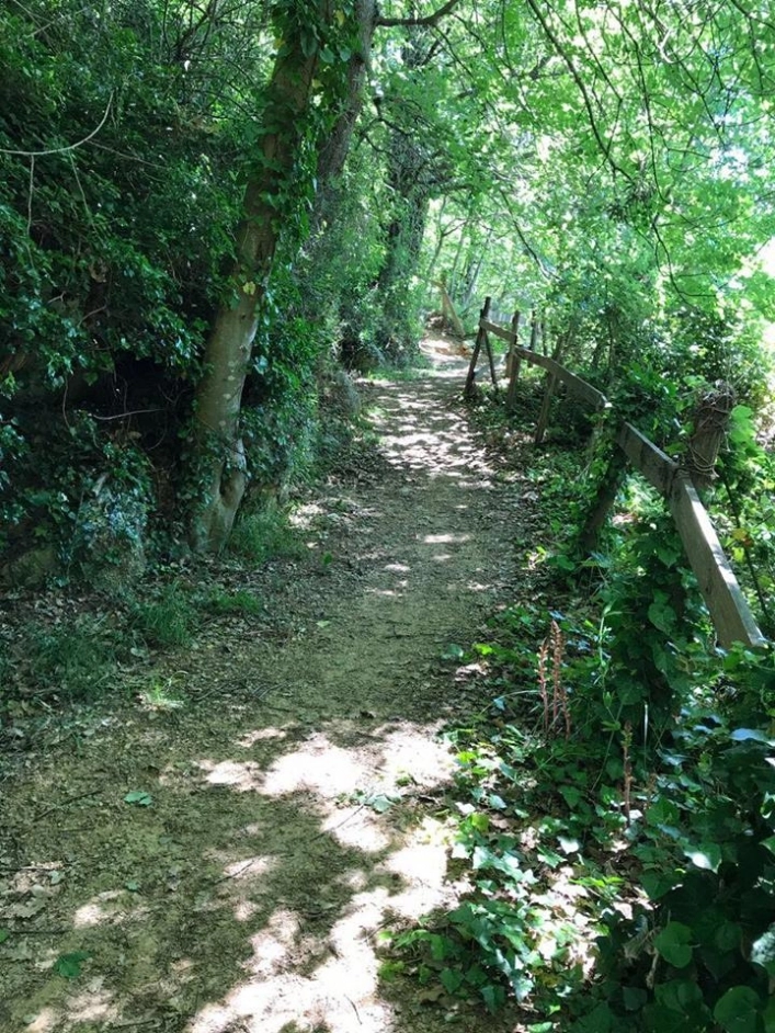 zobacz camping - zdjęcie 16