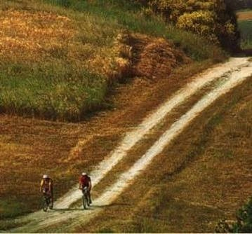 zobacz camping - zdjęcie 17