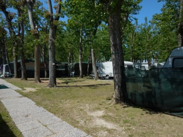 zobacz camping - zdjęcie 14