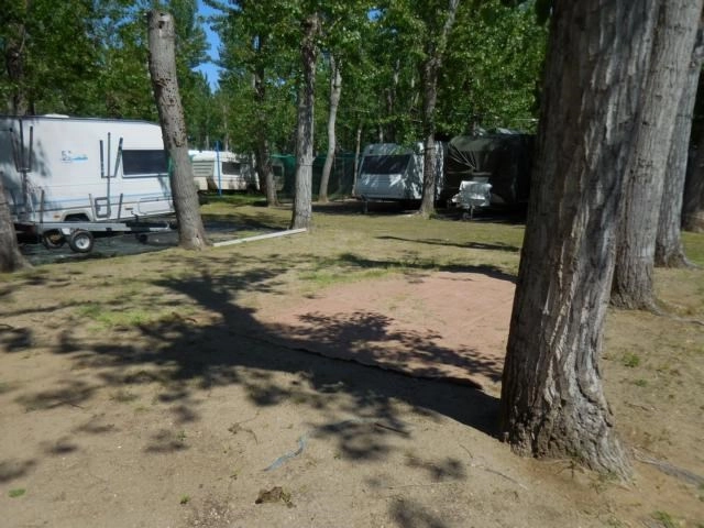 zobacz camping - zdjęcie 10