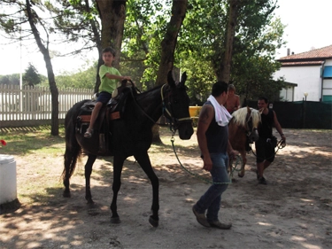 zobacz camping - zdjęcie 9