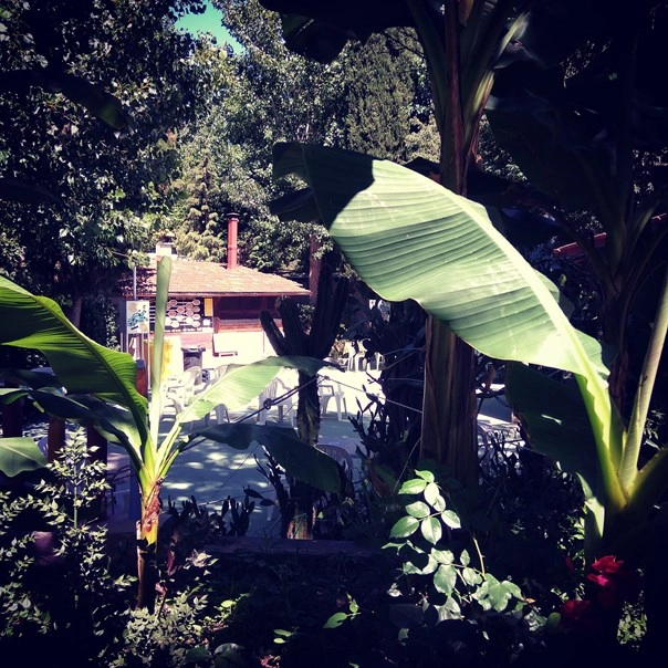 Camping Porticciolo - zdjęcie 2