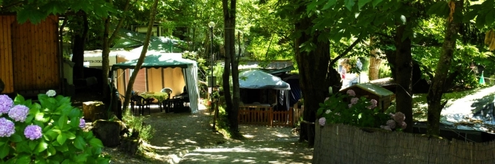 zobacz camping - zdjęcie 4