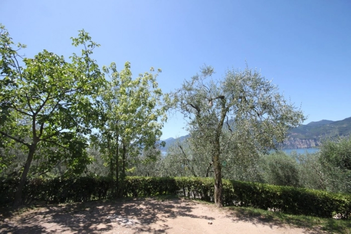 zobacz camping - zdjęcie 26