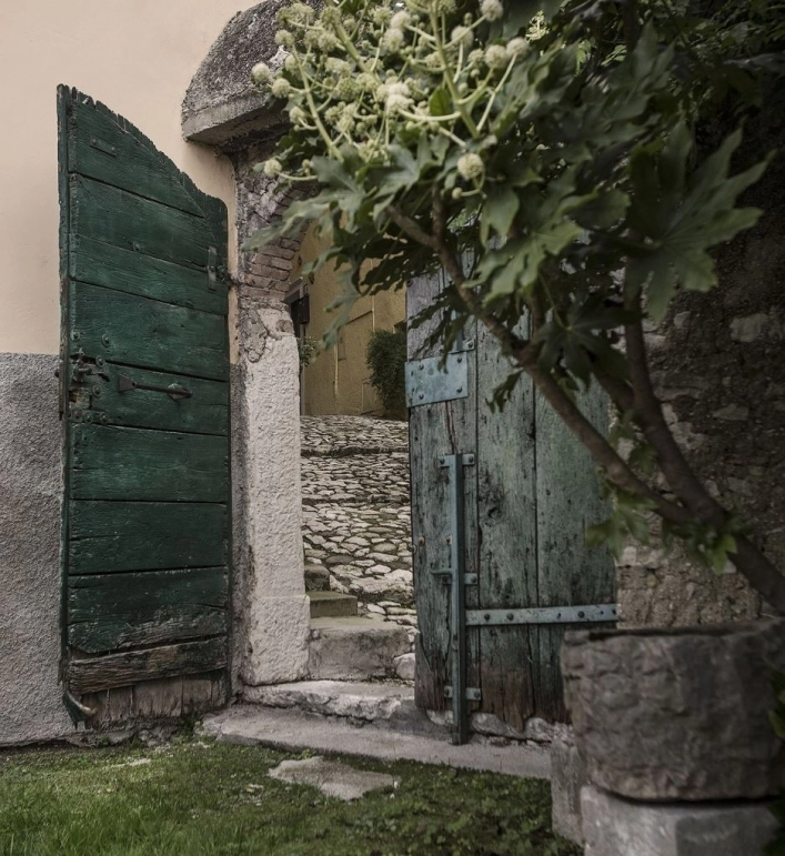 zobacz camping - zdjęcie 19