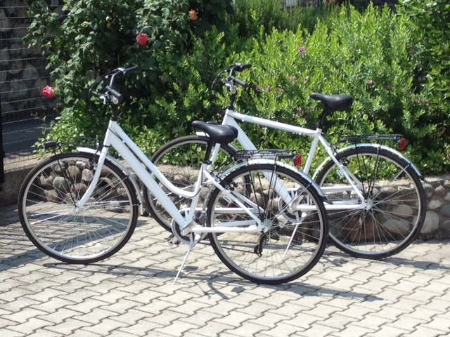 zobacz camping - zdjęcie 10