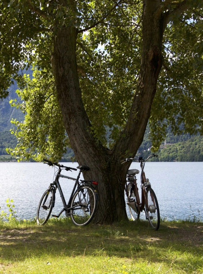 zobacz camping - zdjęcie 30