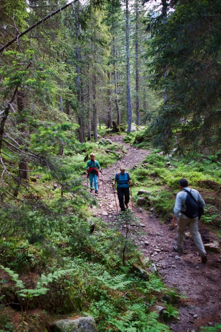 zobacz camping - zdjęcie 23