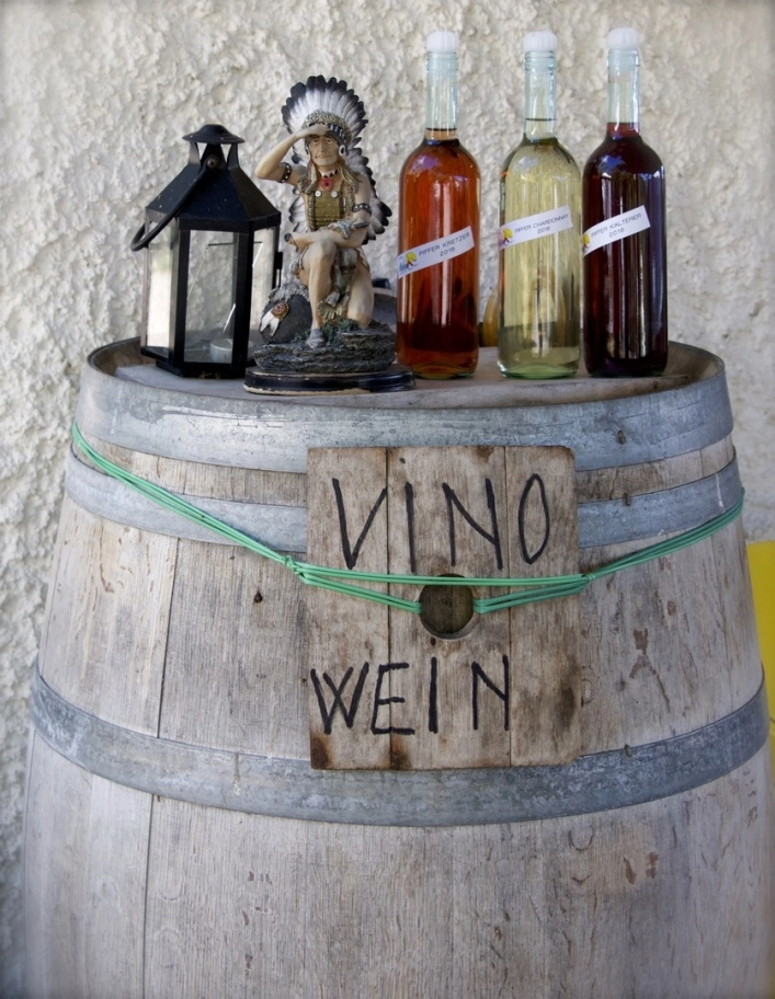 zobacz camping - zdjęcie 22