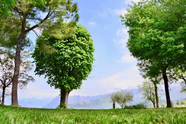 zobacz camping - zdjęcie 8