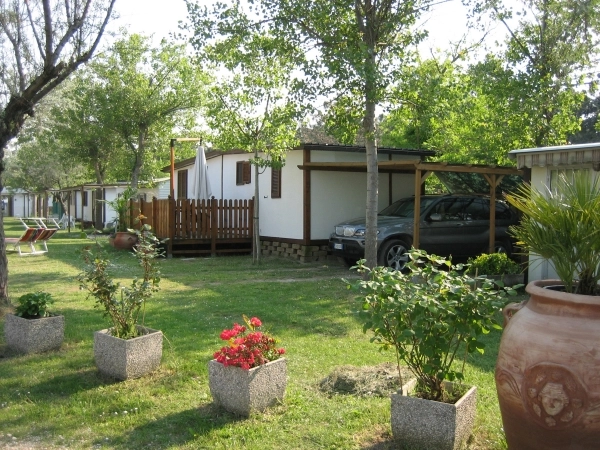 zobacz camping - zdjęcie 29